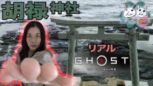 対馬の胡禄神社はリアルゴーストオブツシマの神社 鳥居を抜けた先には〜対馬であいまSHOW〜대마도(テマド)