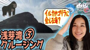 浅芽湾クルージングで海から見るゴーストオブ対馬の景色に感動（本編２）〜対馬であいまSHOW〜대마도（テマド）