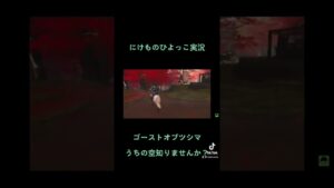 うちのそら知りませんか？？ #shorts  【ゴーストオブツシマ】