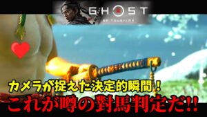 疑惑の瞬間!?これが噂の對馬判定か!?【ゴーストオブツシマ】