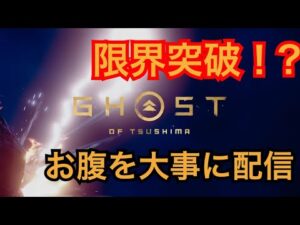 ゴーストオブツシマ ただいま配信 對馬防衛軍P