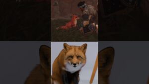 Fuchs reagiert auf Ghost of Tsushima