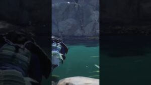 Ghost of Tsushima is Absolutely Insane